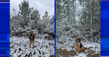 Florida sees snow for the second year in a row