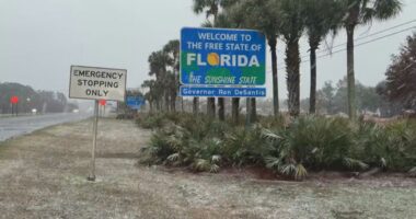 Florida snow 2026: Here are photos, videos capturing snowfall across the panhandle