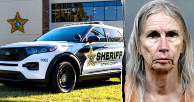 Florida woman, 81, arrested in murder-for-hire plot after sharing plan with undercover detective, sheriff says