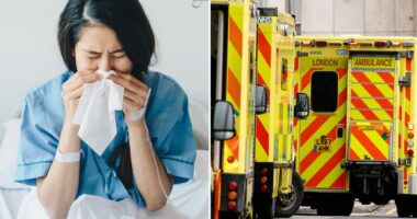 Flu cases soar after Christmas as NHS top doctor warns ‘the worst is far from over’