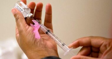 Flu season surged in the US over the holiday and already rivals last winter's harsh epidemic