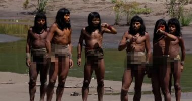 Footage shows hunters from world's biggest uncontacted Amazon tribe