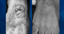 Fourth Body Found in City’s Bayou in 2 Weeks, Sparking More Serial Killer Claims