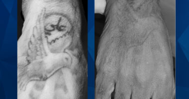 Fourth Body Found in City’s Bayou in 2 Weeks, Sparking More Serial Killer Claims