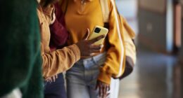 France to ban children from social media