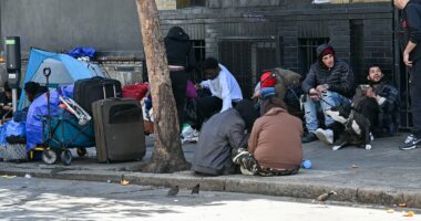 Gavin Newsom's $236m CARE Court helps only 22 people