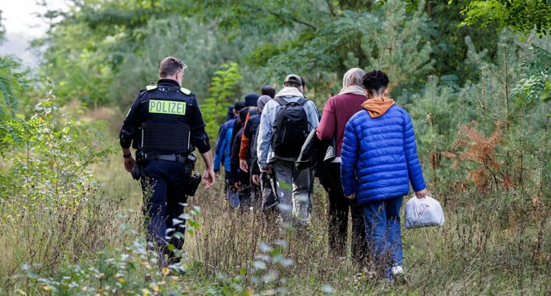 Germany sees migrant numbers halve to lowest level in decade