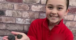 Girl, nine, finds meteorite 'older than the Earth' on UK beach