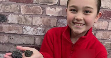 Girl, nine, finds meteorite 'older than the Earth' on UK beach
