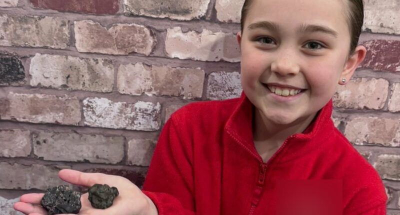 Girl, nine, finds meteorite 'older than the Earth' on UK beach