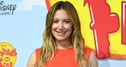Glee star slams Hilary Duff's husband over 'toxic mom group' drama