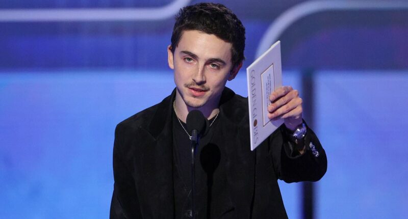 Golden Globes winners: Timothee Chalamet soars over Leonardo DiCaprio