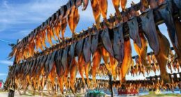 Fish drying in Rodebay, Greenland.