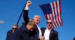 Gunfire, arson and vandalism: Tracking political violence in America