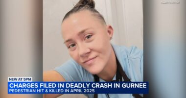 Gurnee pedestrian killed: Javier Contreras-Bulnes charged months after Amber Knowles hit, killed by truck on Delany Road: Police