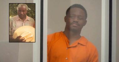 'Hard, like soccer': Man kicked and punched 81-year-old man to death after the victim told him to 'stop yelling' at his girlfriend, authorities say