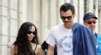 Harry Styles' album gets seal of approval from Zoe Kravitz's dad Lenny