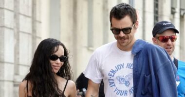 Harry Styles' album gets seal of approval from Zoe Kravitz's dad Lenny