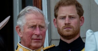 Harry 'desperately wants Charles to open the Invictus Games'