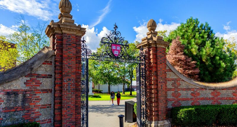 Harvard president criticizes faculty activism, claims university bringing objectivity back to classroom