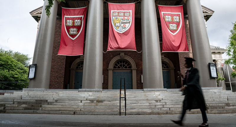 Harvard student exposes 'systematic' liberal bias forcing conservatives to avoid certain classes