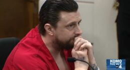 'Haunted … by the smell of cleaning solution': Plumber savagely stabbed woman because she complained to his boss about shoddy work