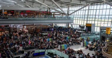 Heathrow closure caused UK's single biggest flight disruption of 2025