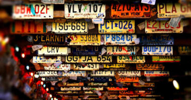 Here are all of the new license plates that could come to Florida this year