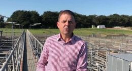 Home detention for assault-accused MP