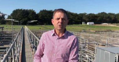 Home detention for assault-accused MP