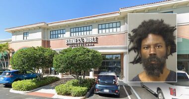 Homeless drifter accused of killing Barnes & Noble Christmas shopper blamed ‘fight or flight’ outburst: report