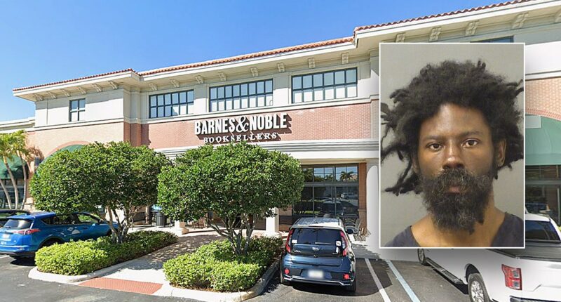 Homeless drifter accused of killing Barnes & Noble Christmas shopper blamed ‘fight or flight’ outburst: report