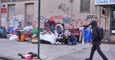 Homeless encampments pop up in NYC after new mayor vowed to stop them