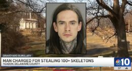 'Horror movie come to life': Infants, children, body with pacemaker still attached among more than 100 skeletons stolen from cemetery, DA says
