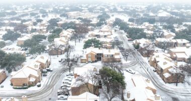 Houston warned temperatures will plunge below freezing for 40 HOURS