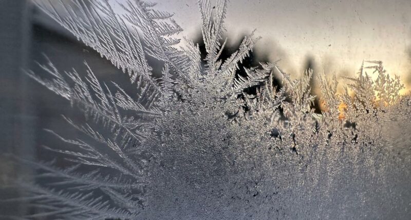 How much snow has fallen so far? See 10 biggest snow totals nationwide