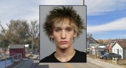 'How the f— is it my fault?: Teen 'bragged' about luring romantic rival into near-fatal stabbing, told police it was 'self-defense yo'