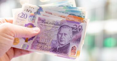 How to turn £25 a month into £10,000: The ultimate beginner's guide to investing in the stock market