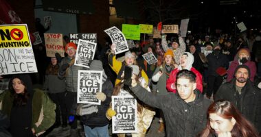 Hundreds of masked anti-ICE protesters besiege Minneapolis hotel