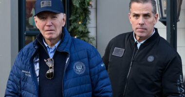 Hunter Biden says it 'doesn't matter' he ghosted his daughter, 7