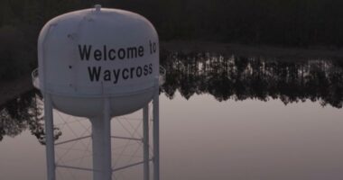'I can barely handle the smell': Waycross residents baffled by persistent gas-like odor as officials exhaustively search for source