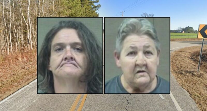 'I didn't know he was dead': Woman kills her passenger in crash, then gets mother arrested when she calls for help and lies to her about what happened, authorities say