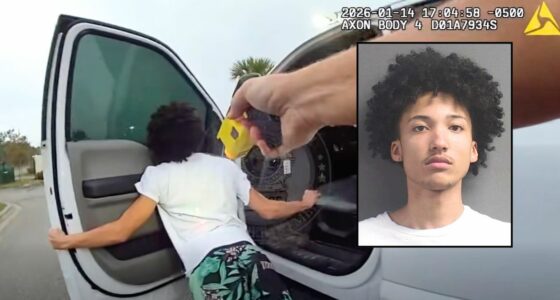 Teen Arrested in Attempted BMW Dealership Heist and Attempted Police ...