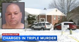 'I killed my sister when she found them': Man stabbed parents to death as they slept, then murdered sibling before telling her boyfriend she was on vacation, cops say