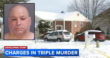 'I killed my sister when she found them': Man stabbed parents to death as they slept, then murdered sibling before telling her boyfriend she was on vacation, cops say