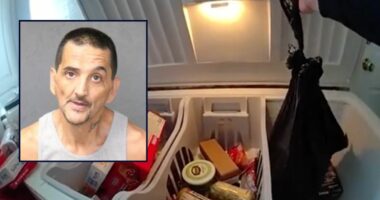 'I left her in there': Man admits chopping up mother and storing her in a chest freezer with food while living with her remains for weeks, bodycam footage shows