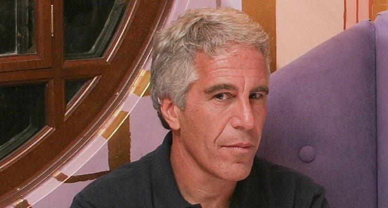 I was threatened by Jeffrey Epstein. This is what he didn't want seen