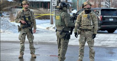 ICE agents have shot at people in vehicles at least 6 times in recent months