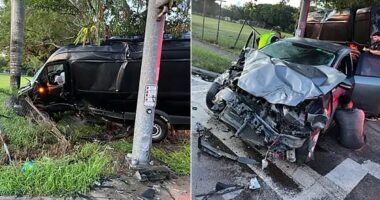 ICE agents report ‘unprecedented’ 3,200% surge in car attacks last year