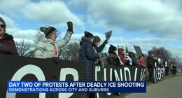 ICE protest Chicago news: Wicker Park, Elk Grove Village, Arlington Heights protests held after ICE shooting of Renee Good